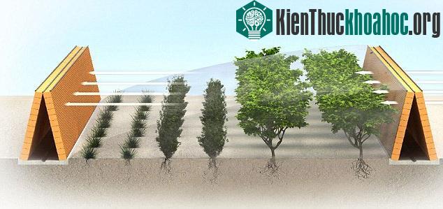 Hệ thống tưới nước có cơ chế hoạt động giống như của mũi lạc đà
