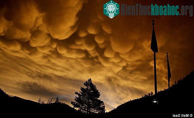 Điêu kiện gây ra mây cuộn song tương tự như những đám mây Mammatus (mây bong bóng)