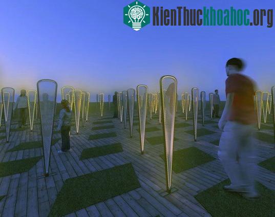 Concept của Anthony DiMari