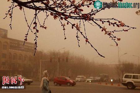 Cục khí tượng địa phương đã phát đi cảnh báo bão cát màu cam.