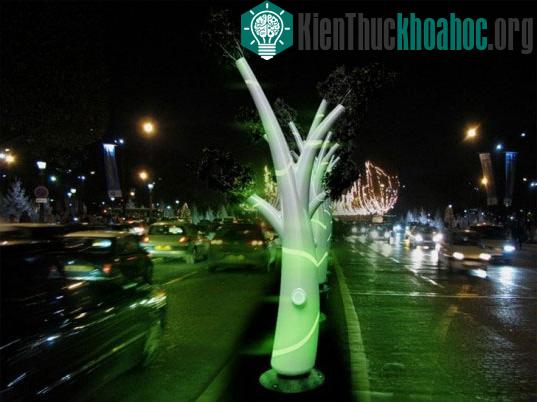 Cây phát sáng - Light Tree