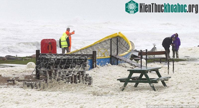 Lớp bọt biển hình thành từ cát, nước và các thực vật phù du