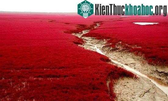 Loạt địa danh trên Trái đất khiến bạn hoa mắt choáng ngợp- ảnh 7