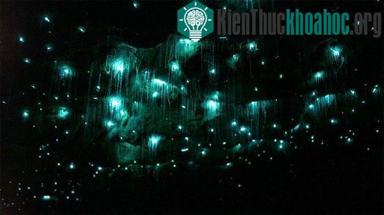 Những hang động màu xanh ngọc bích khiến bạn "mát lạnh"