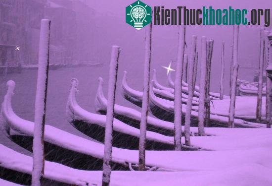 Tuyết màu tím