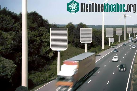 Cây thu khí thải CO2