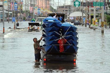 Một người dân Thái Lan đang giữ những chiếc thuyền được buộc chồng lên nhau trên một chiếc xe tải trong dòng nước lụt ở tỉnh Pathum Thani