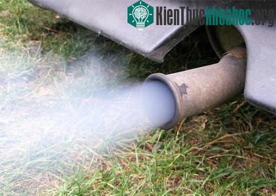Phơi nhiễm những hóa chất độc trong không khí khiến nguy cơ sinh non ở sản phụ tăng thêm 30%