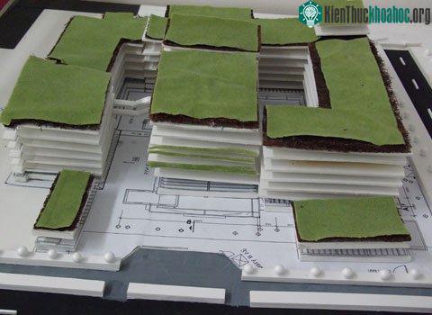 Mô hình Green School trong trường học. (Ảnh do tác giả cung cấp)