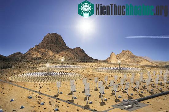 "Rừng nhân tạo" có thể hấp thụ, lưu giữ và biến đổi CO2 thành những sản phẩm hữu ích (Ảnh: Guardian)