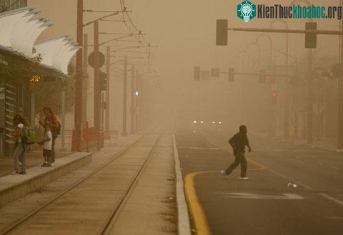 Bão bụi xuất hiện tại nhiều thành phố thuộc bang Arizona, Mỹ vào ngày 18/8 với tốc độ từ 48 tới 64 km/h.