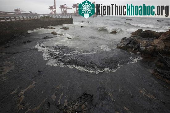 Dầu ngoài khơi Trung Quốc tràn vào bờ