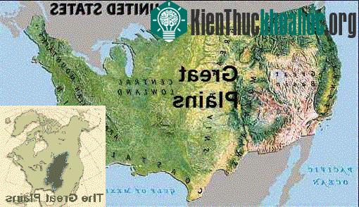 Ngày nay, Great Plains là khu vực sản xuất lúa mì hàng đầu của nước Mỹ, và chủ yếu nhờ có nền nông nghiệp nội địa của Great Plains thịnh vượng mà Hoa Kỳ trở thành nhà xuất khẩu lúa mì hàng đầu trên...
