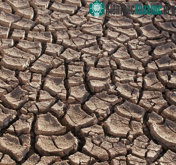 La Nina có thể gây khô hạn.