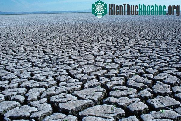 Đợt hán hạn khiến đất nứt nẻ ở trong đợt hạn hán ở châu Âu năm nay. (Ảnh: AFP)