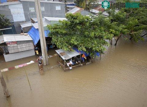 Nước lũ ở tỉnh An Giang, đồng bằng sông Cửu Long. (Ảnh: Gia Bảo)