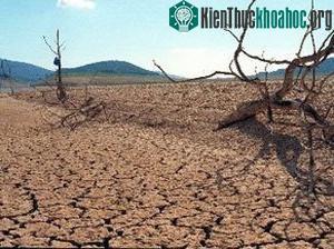 EU cảnh báo nguy cơ hạn hán trên toàn châu Âu
