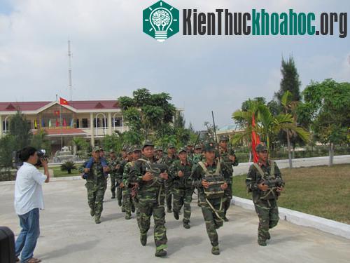 Miền Trung có thể bị sóng thần trên 10m ảnh 0