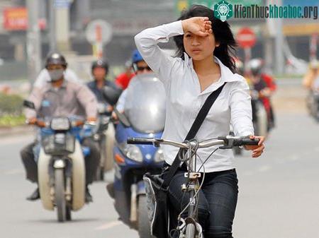 Miền Bắc: Cuối tuần nắng 34 độ C ảnh 0