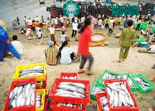 Nước biển Việt Nam bị nhiễm phóng xạ? ảnh 0