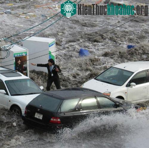 Phóng viên ảnh sống sót thần kỳ trong sóng thần ảnh 0