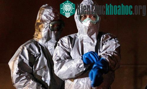 Các chuyên gia và công nhân trong nhà máy Fukushima I.