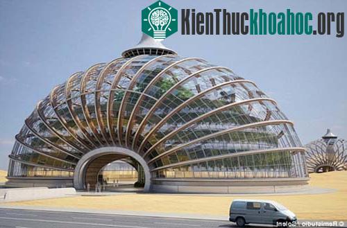 Nhà nổi giúp đối phó với biển đổi khí hậu ảnh 0