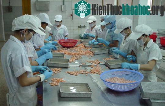 Công nghệ sạch đang thiếu vốn ảnh 0