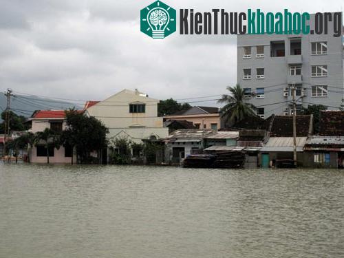Nam Trung Bộ lại bị mưa lũ ảnh 0