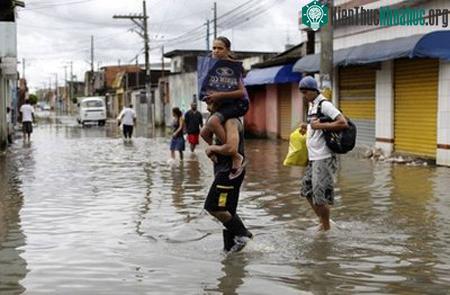 Lũ, lở đất giết chết 257 người tại Brazil ảnh 1