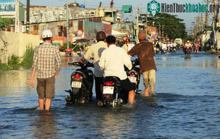 Triều cường dâng cao, dân Sài Gòn quay cuồng trong biển nước ảnh 11
