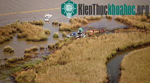 Vịnh Mexico: Một năm sau thảm họa tràn dầu ảnh 12