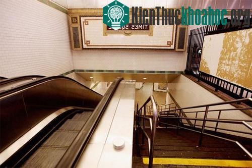 Bão Irene tiếp tục hoành hành nước Mỹ