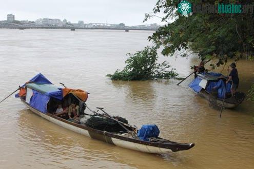 Nước sông Hương mấp mé chân cầu Trường Tiền.