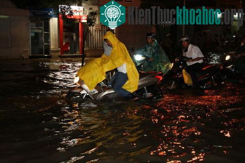 Mưa bất ngờ lúc triều đạt đỉnh khiến đường Ngô Tất Tố ngập nặng, nhiều xe chết máy