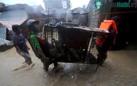 Bão Nesat làm 18 người Philippines thiệt mạng ảnh 2