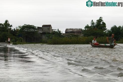 Các xã Hương Phong, Hương Vinh của huyện Hương Trà và Quảng An, Quảng Thành của huyện Quảng Điền mênh mông nước.