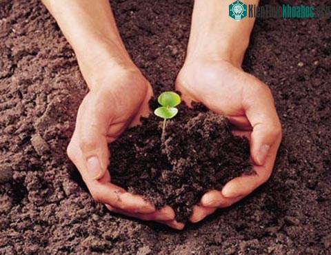 Hãy bảo vệ và gìn giữ môi trường trong sạch, cho ngày nay, cho ngày mai, cho muôn đời sau.