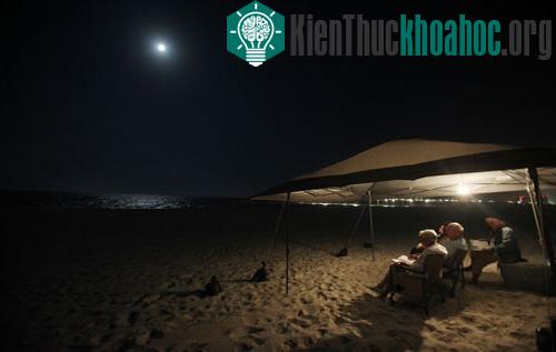 Vịnh Mexico: Một năm sau thảm họa tràn dầu ảnh 2