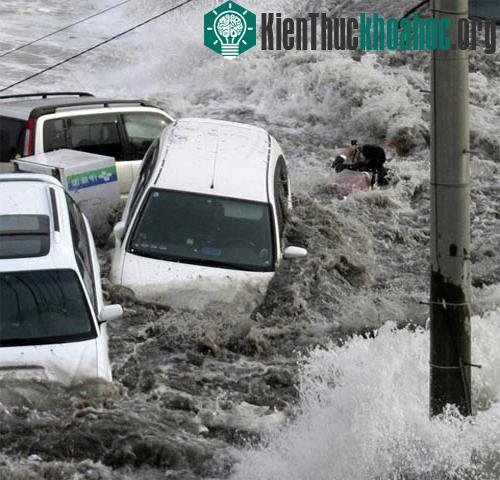Phóng viên ảnh sống sót thần kỳ trong sóng thần ảnh 2