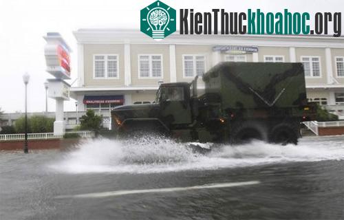 Bão Irene tiếp tục hoành hành nước Mỹ ảnh 3