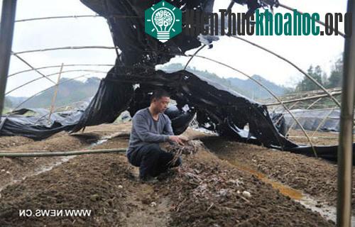 Mưa đá khiến 12 người chết tại Trung Quốc ảnh 3
