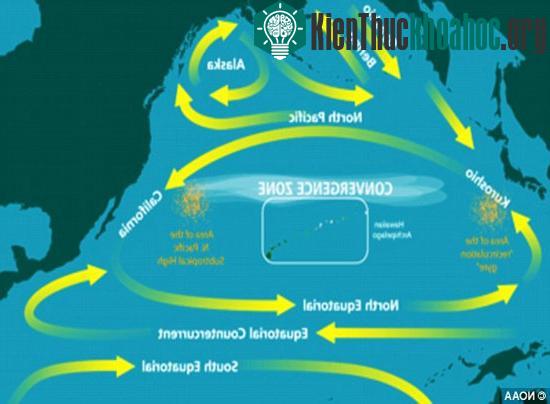 Rác sau sóng thần ở Nhật trôi tới Mỹ ảnh 3