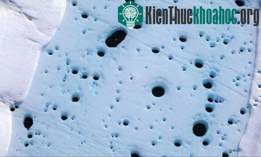 Sông băng "khóc" ảnh 3