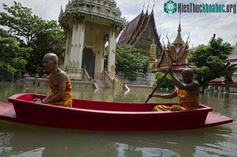 Tại Thái Lan, cơn bão nhiệt đới đi kèm với mưa to kéo dài nhiều tuần qua đã khiến ít nhất 84 người thiệt mạng và ảnh hưởng đến cuộc sống của 4,3 triệu người dân. Trong hình là các nhà sư đang chèo ...