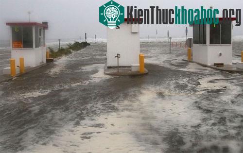 Bão Irene tiếp tục hoành hành nước Mỹ ảnh 4