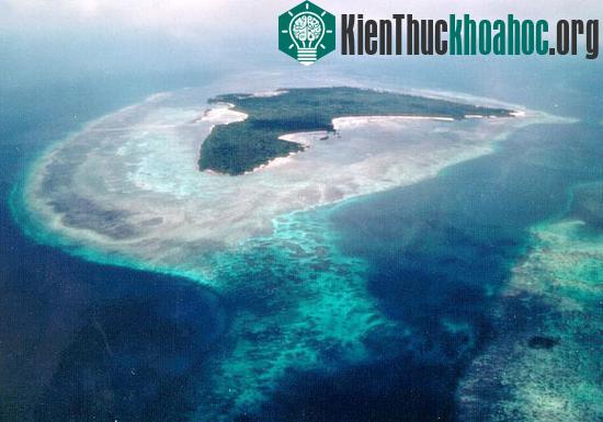 2010: Năm Trái đất ‘dị thường’ nhất- ảnh 5