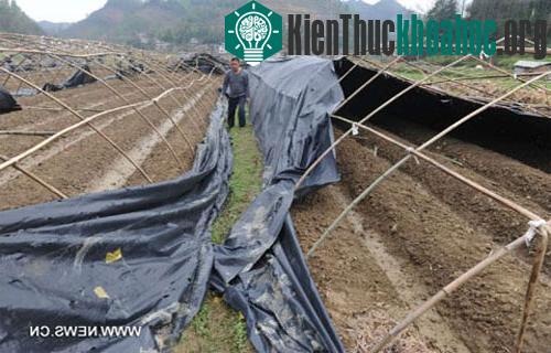 Mưa đá khiến 12 người chết tại Trung Quốc ảnh 4
