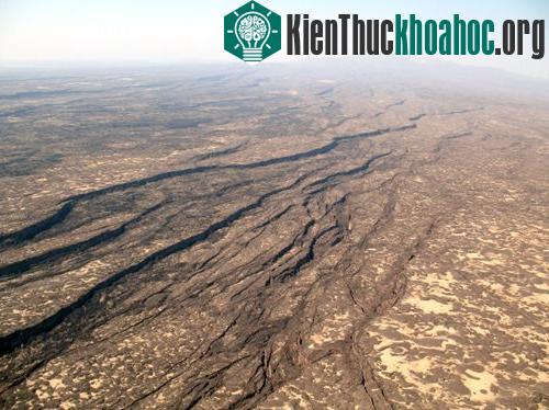 Đông Phi: Sa mạc có nguy cơ biến thành biển cả ảnh 4