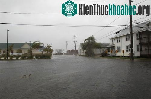 Bão Irene tiếp tục hoành hành nước Mỹ ảnh 5